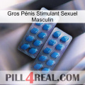 Gros Pénis Stimulant Sexuel Masculin viagra2